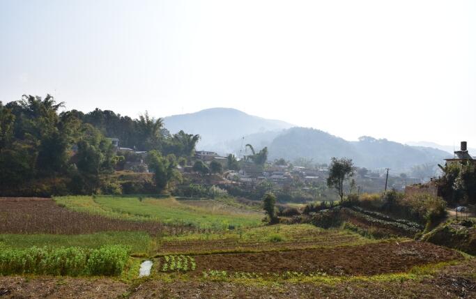 Rural Land Consolidation in Japan, South Korea and Taiwan: Main Practices and Policy Implications