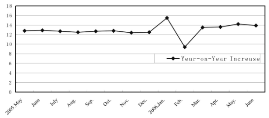 Analysis and Forecast of the Market Situationin the First Half of 2006*