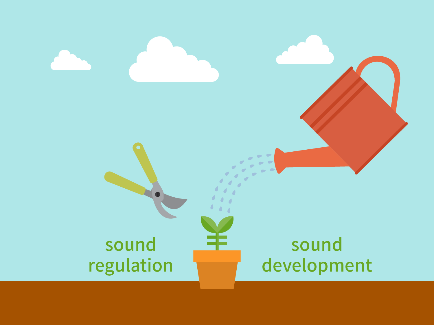 <BR>The Financial Sector: Creating a Virtuous Cycle with Sound Regulation and Sound Development