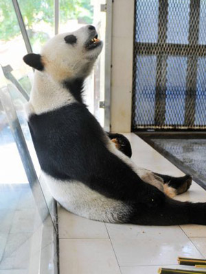 Zoo helps animals escape heat