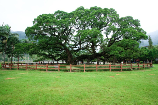 Fuzhou Forest Park