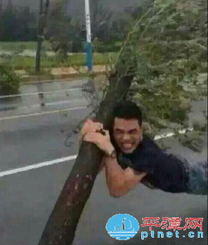 In photos: typhoon Soudelor wreaks havoc in Pingtan