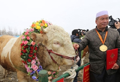 A glimpse of Tibetan culture in Gannan