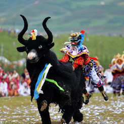 A glimpse of Tibetan culture in Gannan