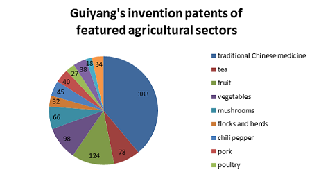 Guiyang's invention patents increase robustly in 2021