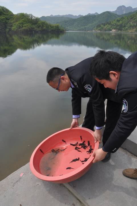 Animal protection in Central China