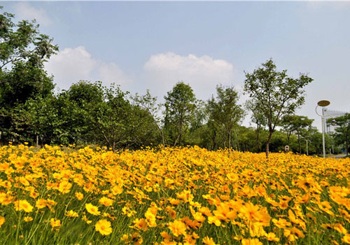 Top 10 Jogging Routes in Jiangsu with delightful views