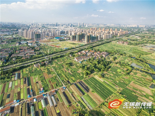 Harvest season in Wuxi