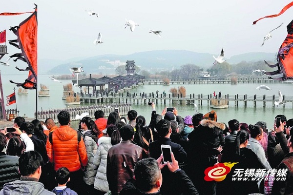 Wuxi bathes in New Year's cheer