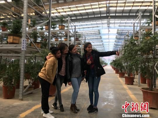 Foreign students praise rural development in Jiangyin