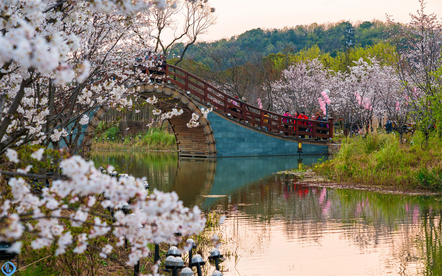 The stunning view of Nianhuawan in Wuxi