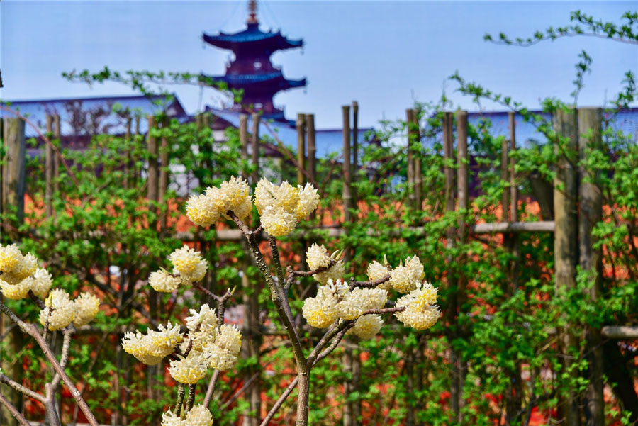 The stunning view of Nianhuawan in Wuxi