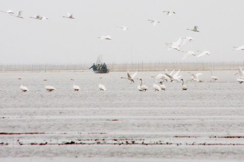 Poyang Lake's beautiful scenery