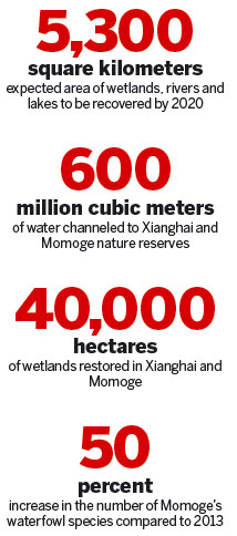 Bringing Jilin's wetlands back to life