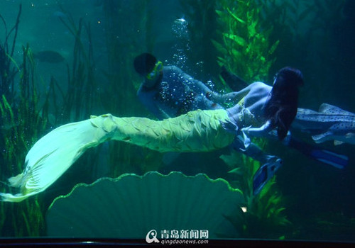 'Dance with the shark' to greet Spring Festival