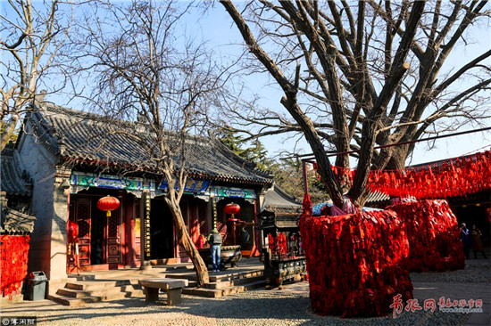 Qingdao Tianhou Palace captured in photos