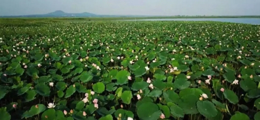 Escape summer heat in Dongping