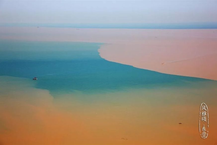 Beauty of the Yellow River Estuary Ecotourism Area