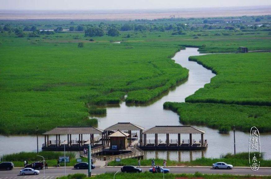 Beauty of the Yellow River Estuary Ecotourism Area