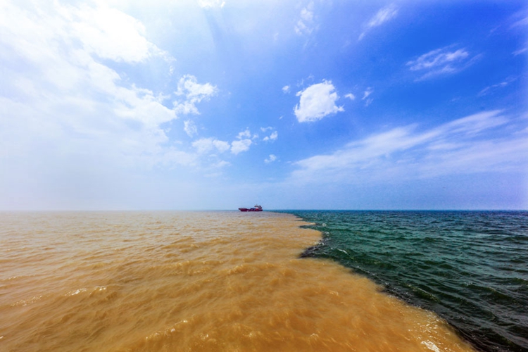 Yellow River estuary area offers vivid visual delights