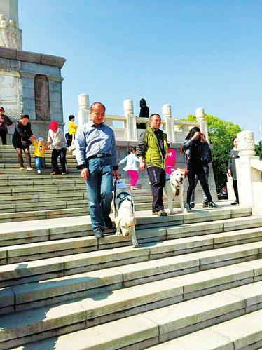 Another guide dog arrives in Shanxi