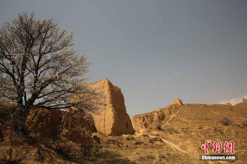 Yanggao Great Wall