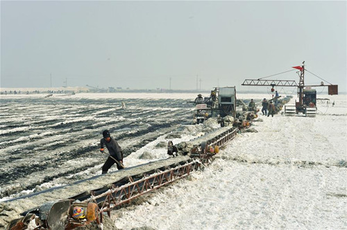 Yanhu Lake workers worth their salt