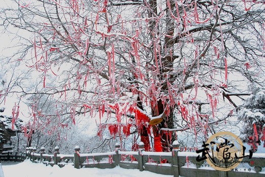 First snow arrives in Wudang