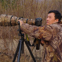 Capturing beauty of birds in the wild