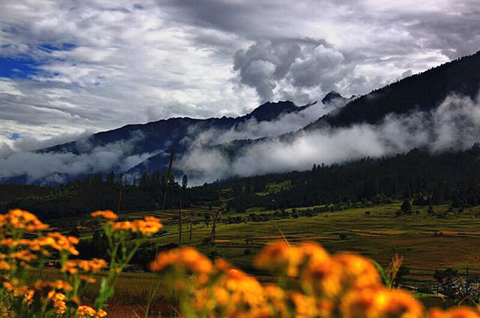 Tibet's Nyingchi prefecture: 