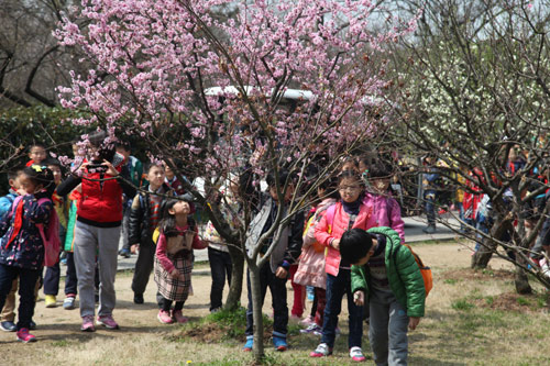 My tour of Plum Blossom Mountain in Nanjing