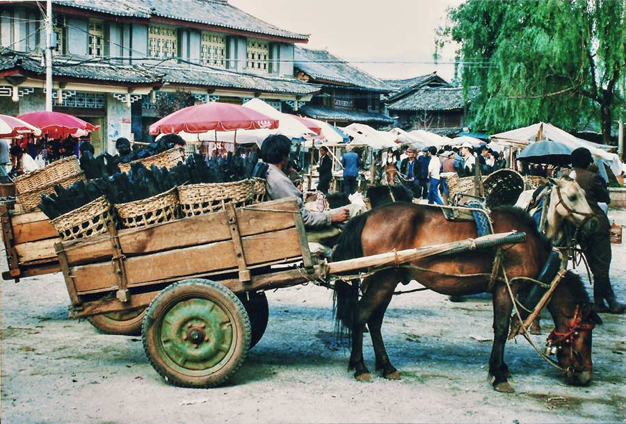 'Beyond the Clouds' - Lijiang in 1995