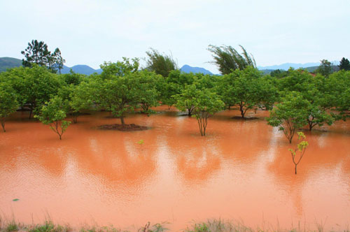 Torrent sweeps Guangxi