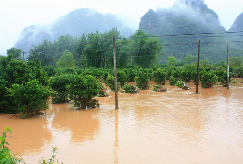 Cities in S China affected by heavy rain