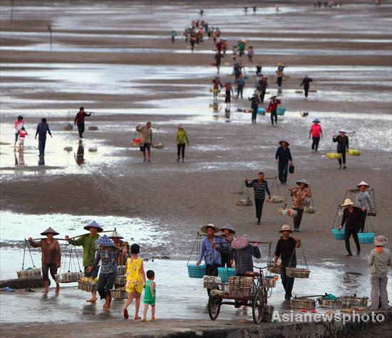 Fishers return from collecting razor clams