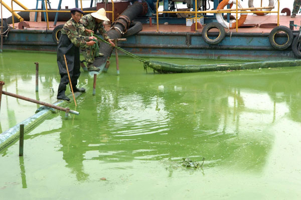 Dian Lake in Yunnan is clean again