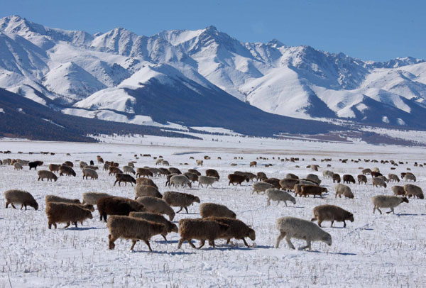 Winter beckons as early snow covers Tianshan