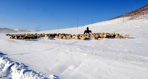 Emergency supplies sent to Inner Mongolia