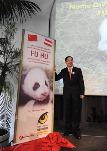 Austria-born panda cub officially named Fu Hu