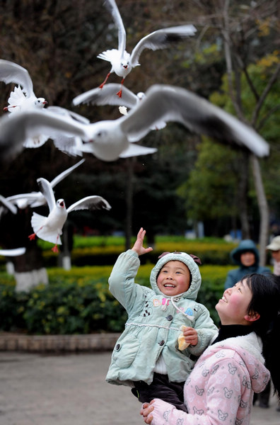 Cold wave hits S China's spring city