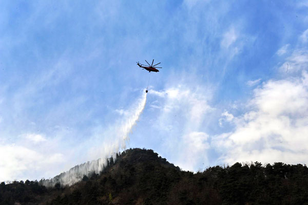 Forest fire in E China extinguished