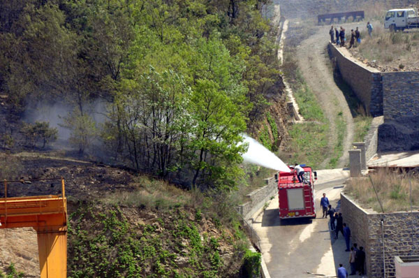 Forest fire put out in NE China