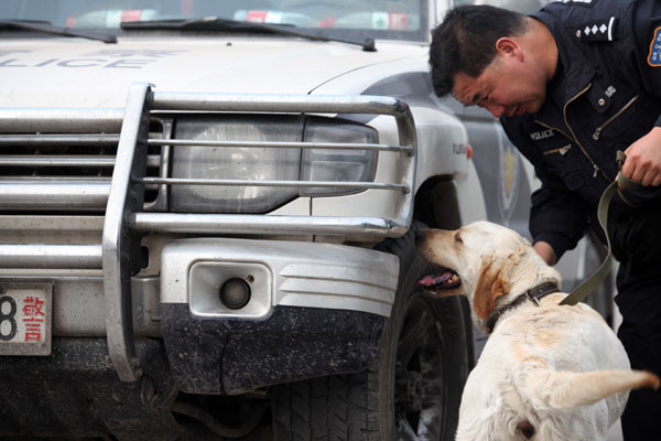 Police dogs show skills in competition