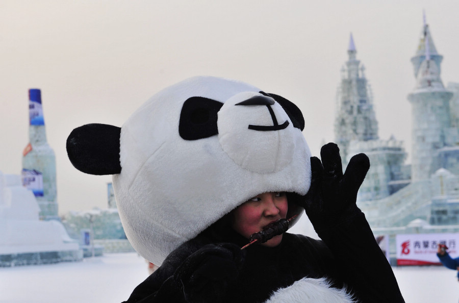 Visitors enjoy ice world