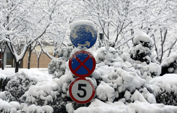 Beijing blanketed by spring snow