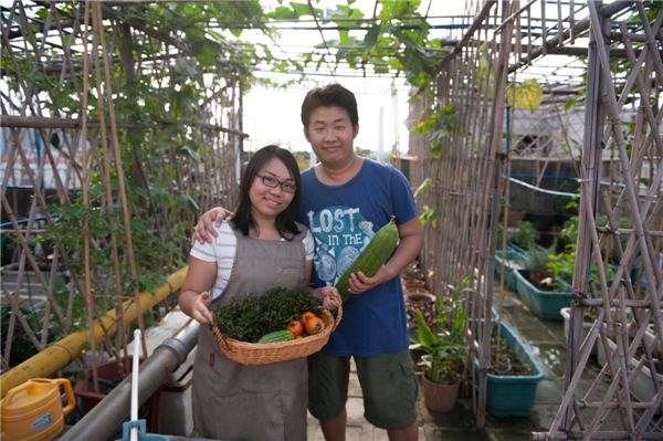 Roof gardening a healthy high