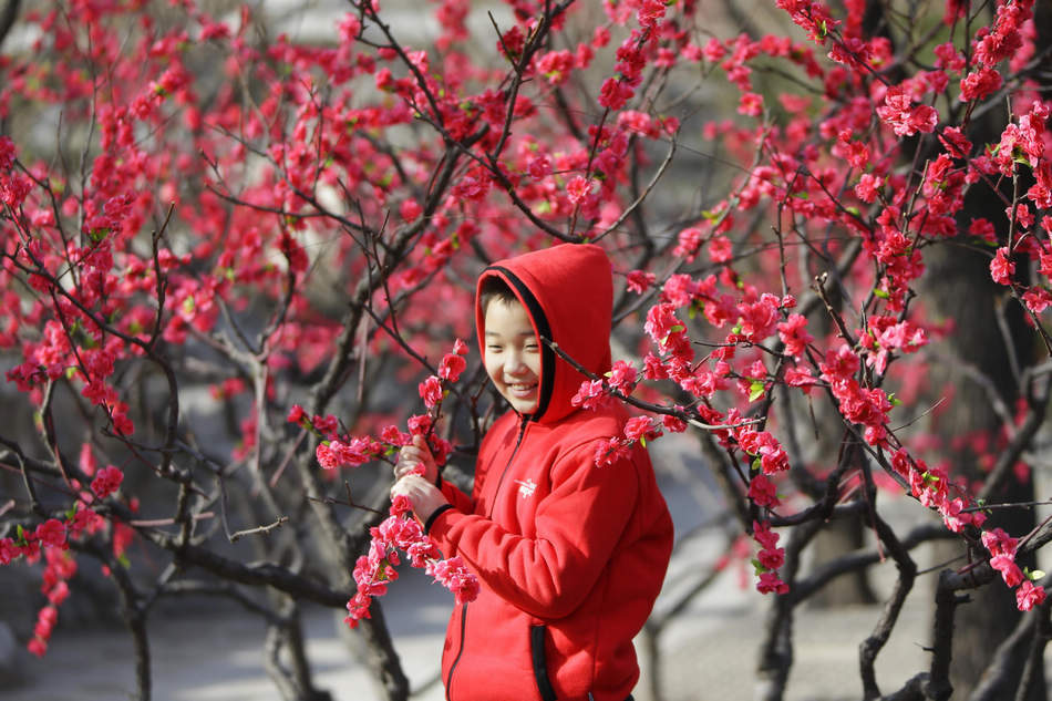 China celebrates the year of horse