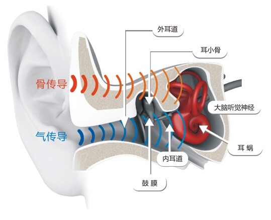 骨傳導(dǎo)相關(guān)漲停背后，關(guān)于AfterShokz這頭深海藍鯨