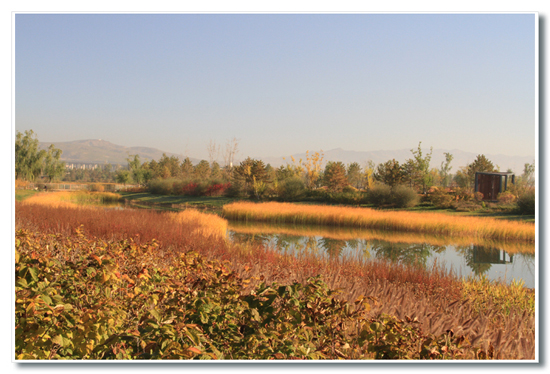 Datong elaborates wildlife rescue center