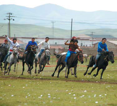 Horses on high